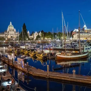 Boats docked in a harbor at night